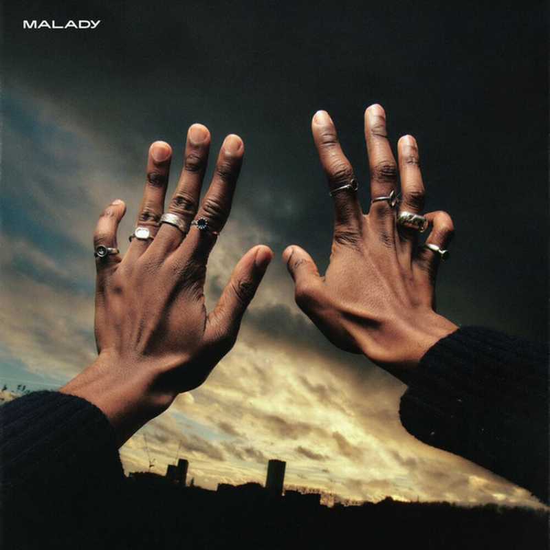 Hands with rings and a dusk behind them